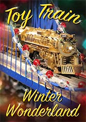 Toy Train Winter Wonderland DVD
